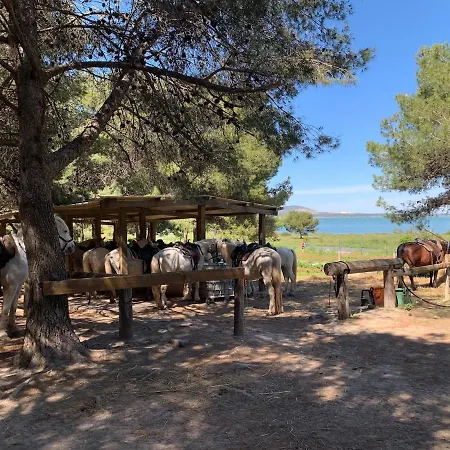 Havre De Paix Proche De La Classe 2 Etoiles Semesterbostad *