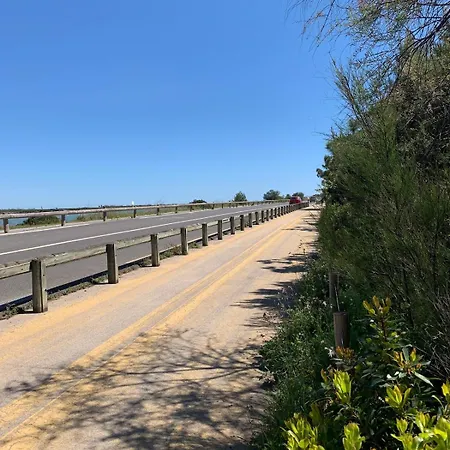 Havre De Paix Proche De La Classe 2 Etoiles Semesterbostad Vic-la-Gardiole